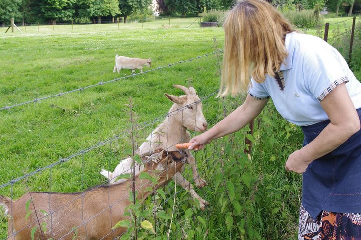 Domaine AbracadaRoom : Le Clos Cacheleux - Image 4
