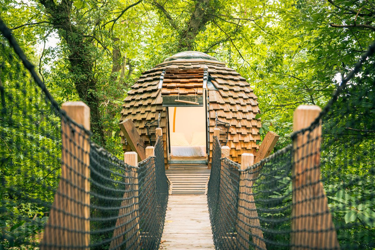 Cabane SPA Lov'nid à Gillonnay (19)