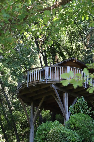 Hébergement AbracadaRoom : Bagheera - Image 2