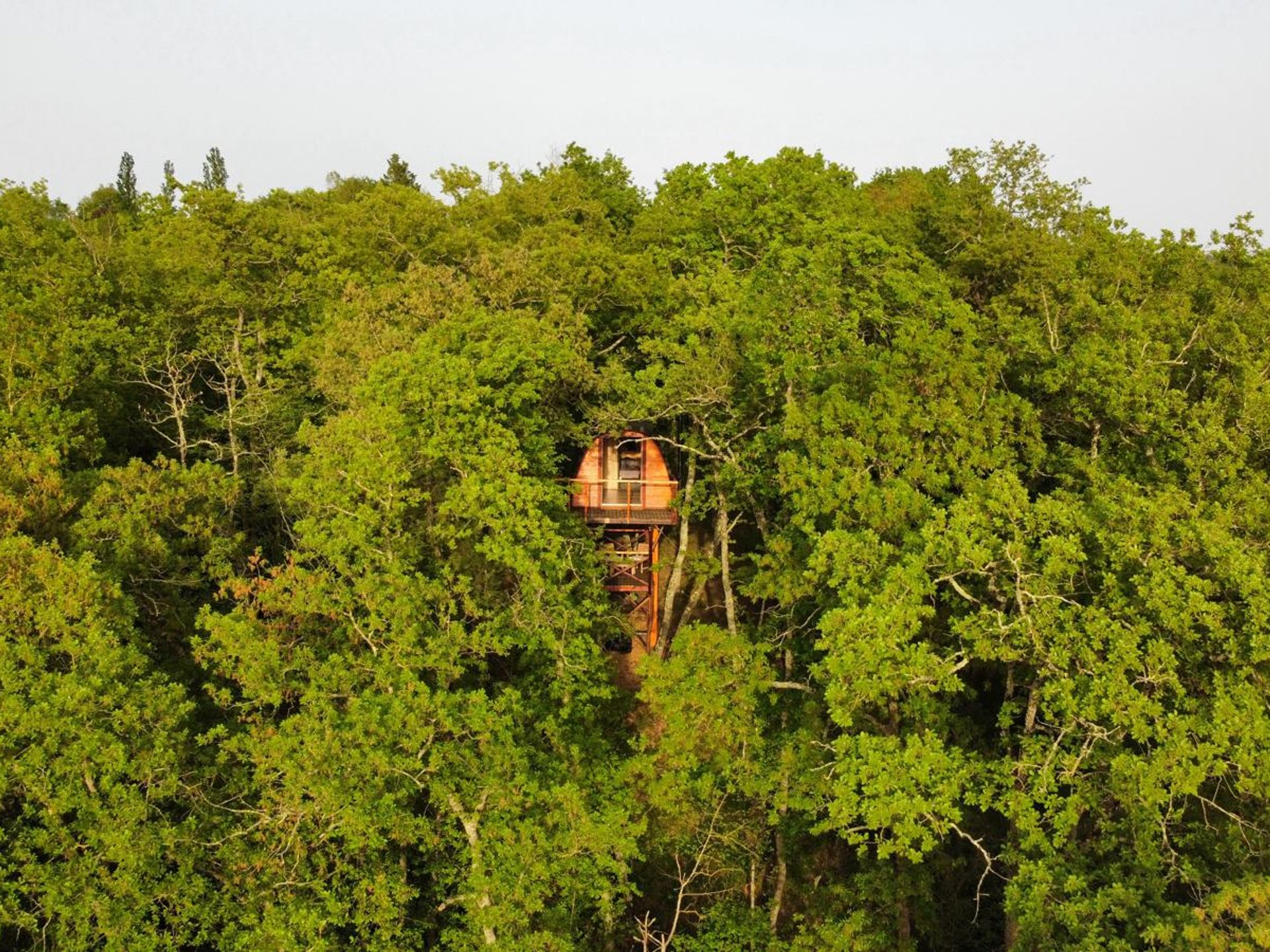 La cabane entre les cimes