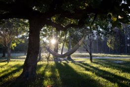 Domaine AbracadaRoom : Lost in Sensations - Image 4