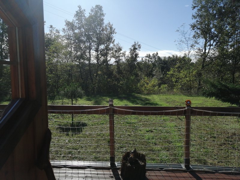 Hébergement AbracadaRoom : Kota - A l'abri des cyprès - Image 8