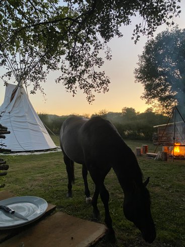 Hébergement AbracadaRoom : Tipi Lakota - Image 5