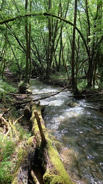 Domaine AbracadaRoom : Begayne - Image 7