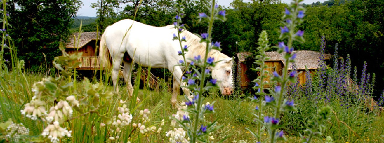 Domaine AbracadaRoom : Les Cabanes de Jeanne - Image 6