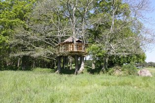 Cabane dans les arbres Morbihan