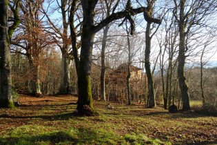 Cabane dans les arbres Ardèche