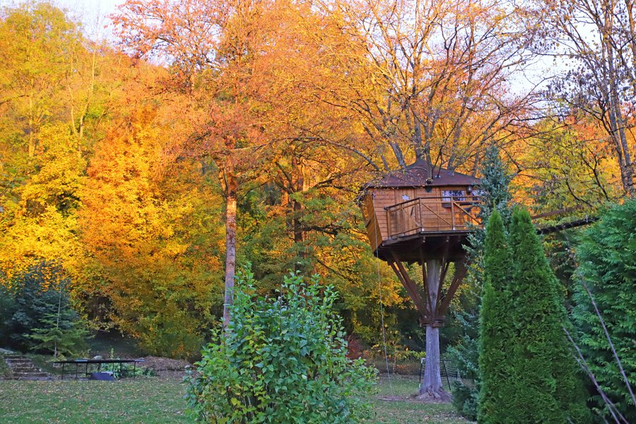 cabane dans les arbres en autonme