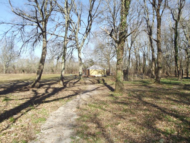 Domaine AbracadaRoom : BEDOUTCH-Yourte contemporaine LESSENTIELLE - Image 3