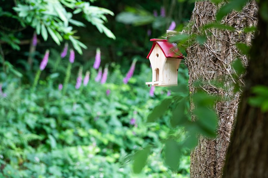 Domaine AbracadaRoom : NUITS PERCHEES - Image 17