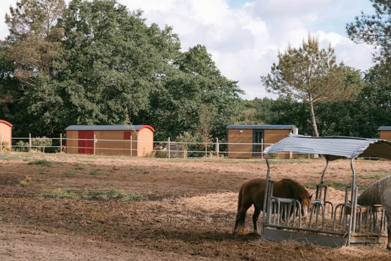 Domaine AbracadaRoom : Domaine El Campo - Image 9