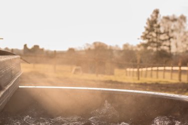 LA ROULOTTE DU RANCH, Bain Nordique, Sauna et Animaux à Blamont (4)