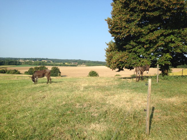 Domaine AbracadaRoom : Casa Sana - Image 9