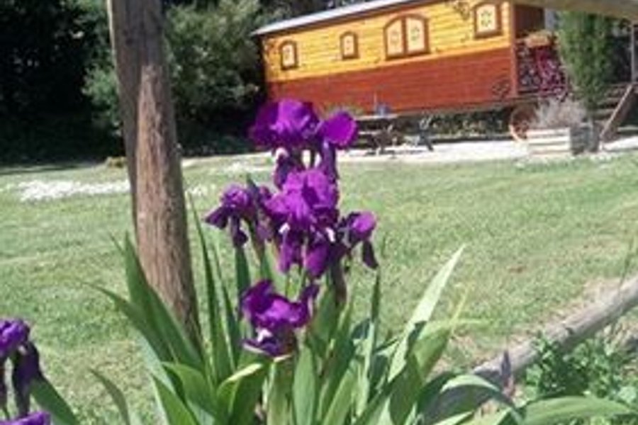 La Roulotte Spa bohème — photo 2