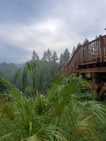 Domaine AbracadaRoom : Pure Scapade - Image 3