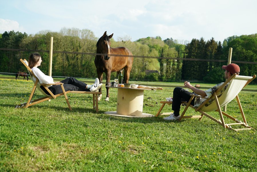 Domaine AbracadaRoom : Tiny House Le Paddock - Image 6
