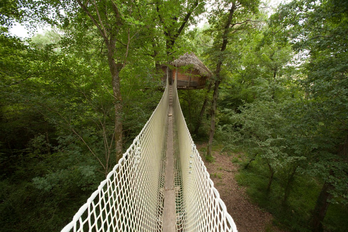 SUPPRIMER à Pompignac (2)