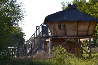 Cabane sur pilotis Vienne