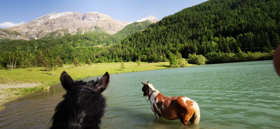 Domaine AbracadaRoom : Chalet des Babous - Image 8