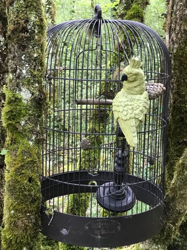 Domaine AbracadaRoom : Arborea - Image 18