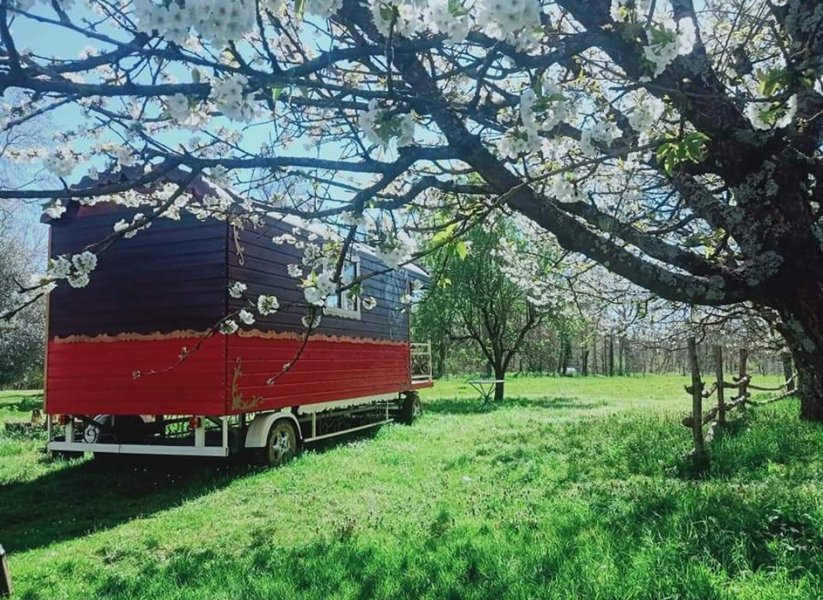 Domaine AbracadaRoom : Centre Agro Environnemental de Brassacou - Image 3
