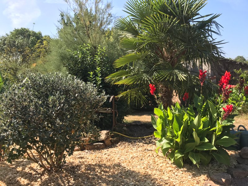 Domaine AbracadaRoom : Domaine Angelou - Image 3