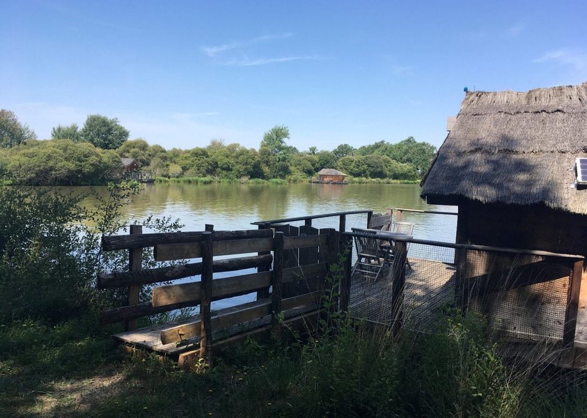 Hébergement AbracadaRoom : Cabane Duo flottante Oiseau du Paradis - Image 3