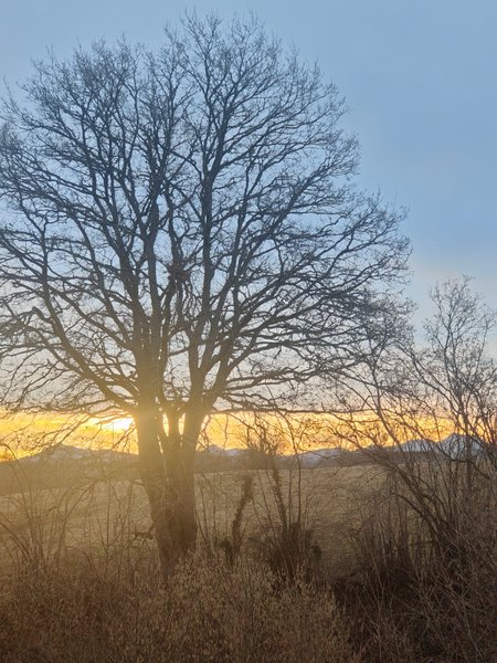 Hébergement AbracadaRoom : Moose Tiny House Chaumes - Image 23