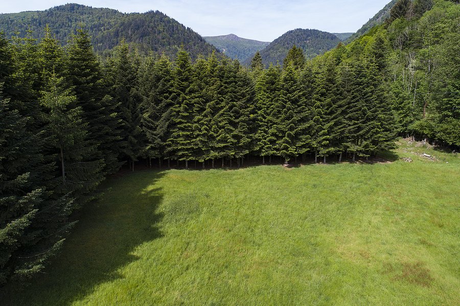 Domaine AbracadaRoom : Escale Cab'Ane - Image 15