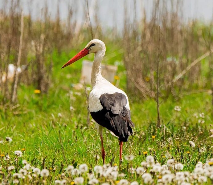 Domaine AbracadaRoom : Les 2 Granges - Image 9