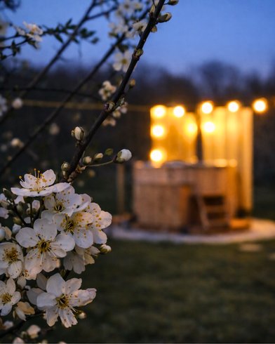 Domaine AbracadaRoom : Roulotte romantique à la campagne – Parenthèse insolite en Bourgogne | Autun · Morvan - Image 10