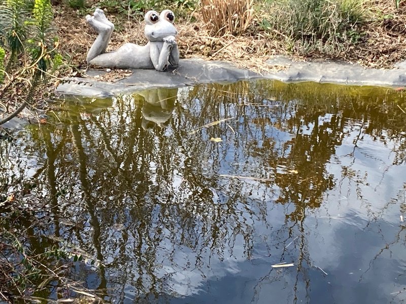Hébergement AbracadaRoom : Cabane Spa des Baies Sauvages - Image 36