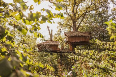 Cabane Héronnière à Chassey-Lès-Montbozon (3)