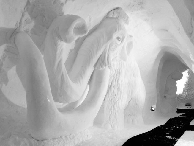 Domaine AbracadaRoom : Blacksheep Village Igloo - Image 20