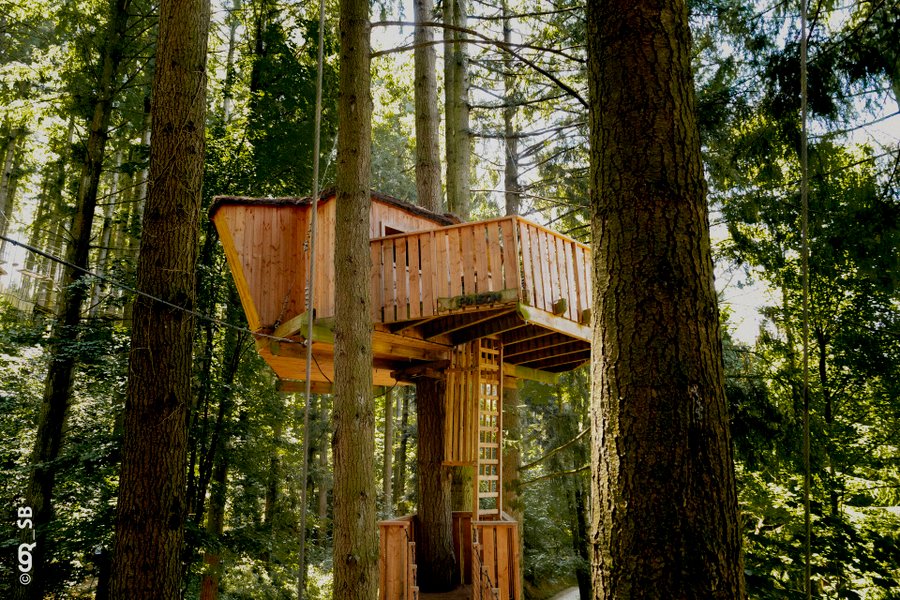 Hébergement AbracadaRoom : Cabane PINSON - Séance Sauna offerte - Image 1