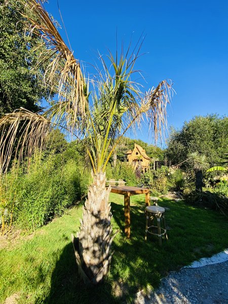 Domaine AbracadaRoom : Jardin Zen du Quistillic - Image 43