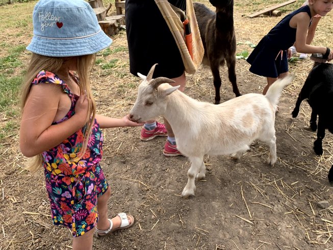 Domaine AbracadaRoom : Ecoland - Image 17