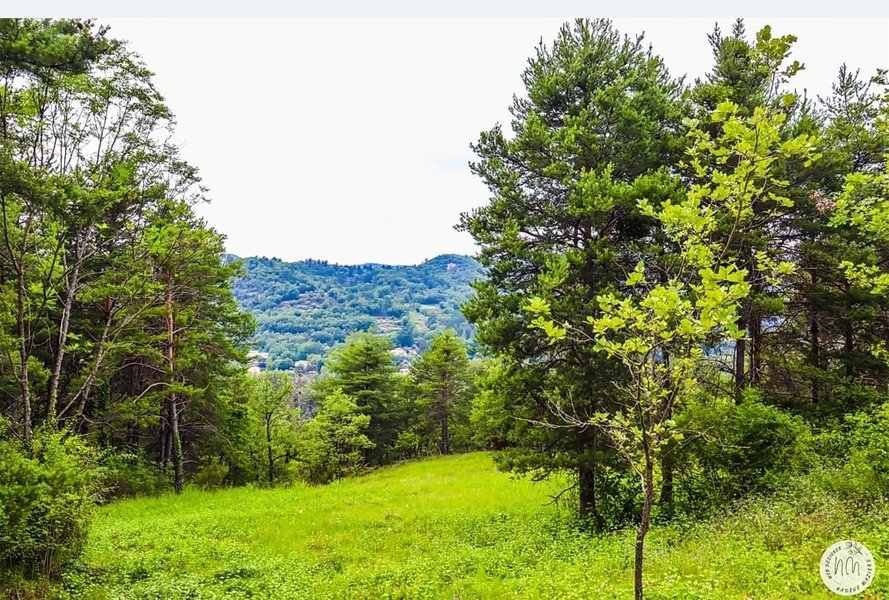 Hébergement AbracadaRoom : Bubble Dream - Image 11