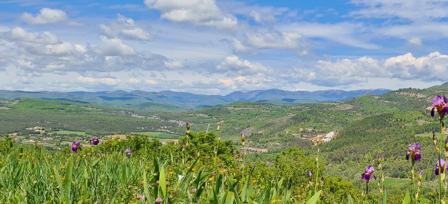 Domaine AbracadaRoom : Détente en Luberon - Image 3