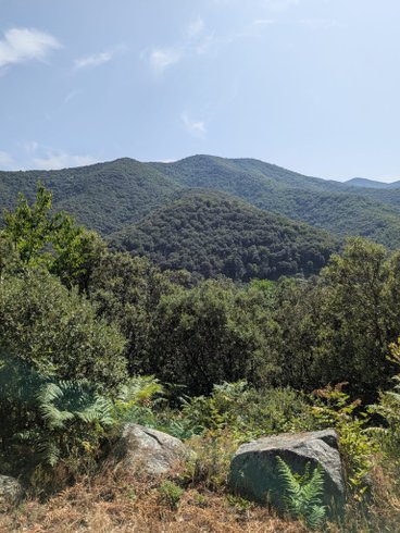 Hébergement AbracadaRoom : Roulotte de Lascoutch - Image 19