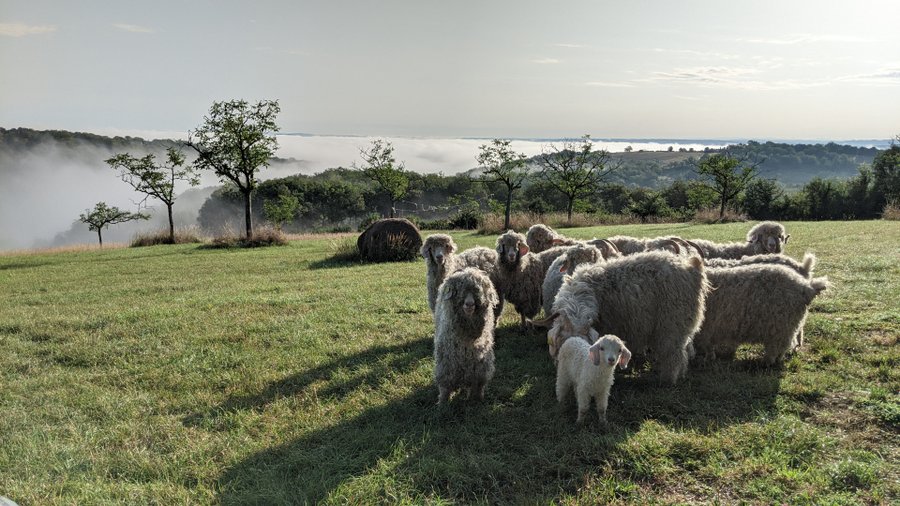 Domaine AbracadaRoom : Horizon Mohair - Image 1