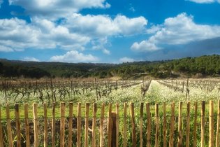 Camping Paradis Soleil d'Oc