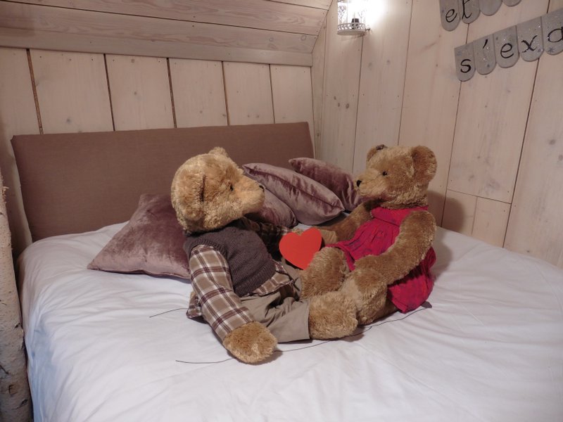 Hébergement AbracadaRoom : La Fée Oursinest - Image 5