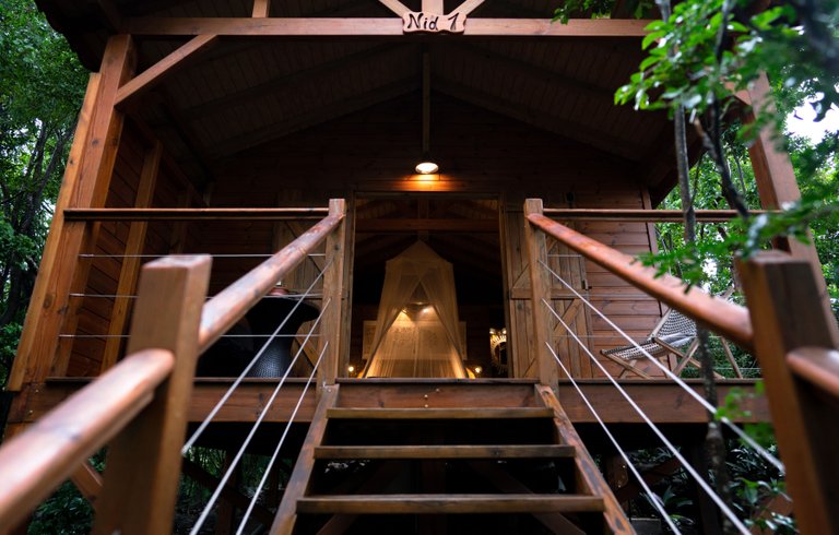 Hébergement AbracadaRoom : Le Nid des Colibris - Image 13