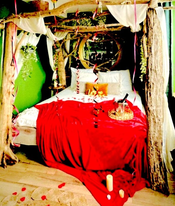 Jungle romantique Spa & Cinéma sous les arbres à Amiens (4)