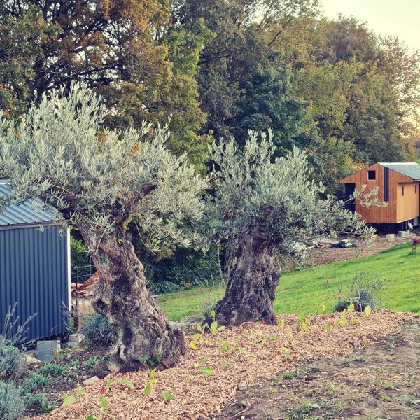 Hébergement AbracadaRoom : Tiny A XXL & Spa - Image 9