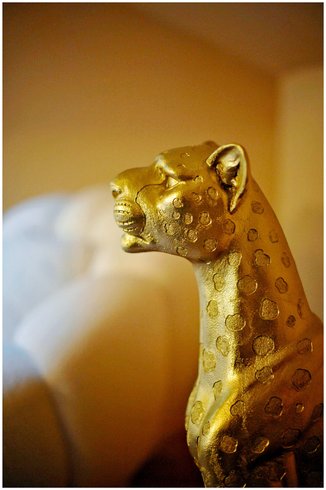 Hébergement AbracadaRoom : Évasion safari unique, SPA XXL, CASCADE D'EAU, CINÉMA PRIVÉ, 5 min du centre - Image 37