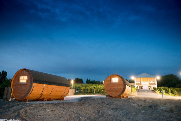 Domaine AbracadaRoom : Vignoble Marchais - Image 5