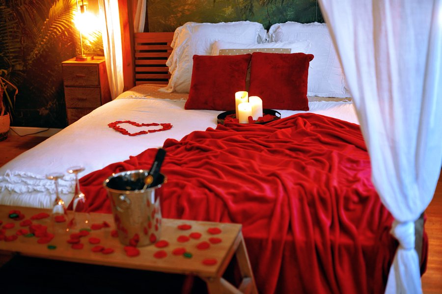 Hébergement AbracadaRoom : Évasion romantique au coeur de l'Amazonie, SPA, CINÉMA PRIVÉ, 5 min centre - Image 23