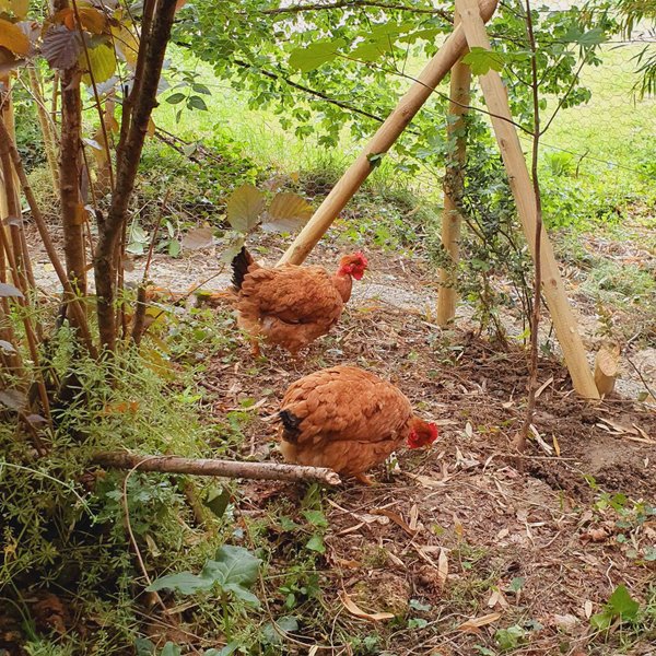 Domaine AbracadaRoom : Le Domaine de la Brette - Image 6